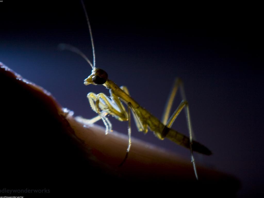 សារៈសំខាន់នៃការផ្លាស់ប្តូរសំណួរ